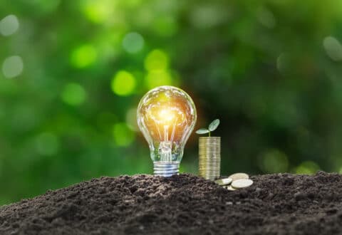 Value of Renewable Energy