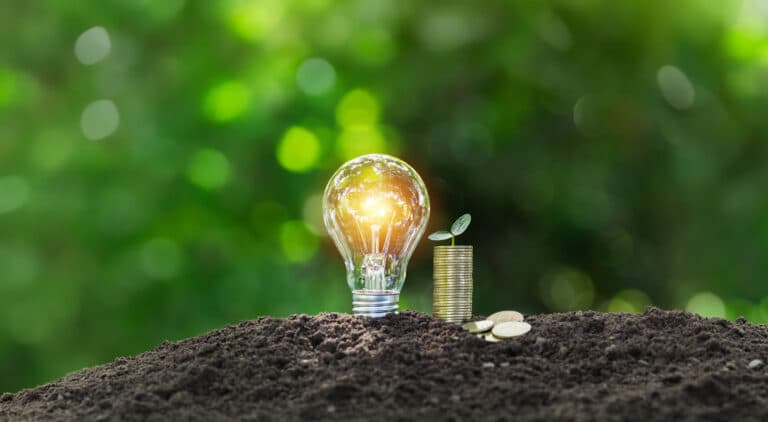 Value of Renewable Energy