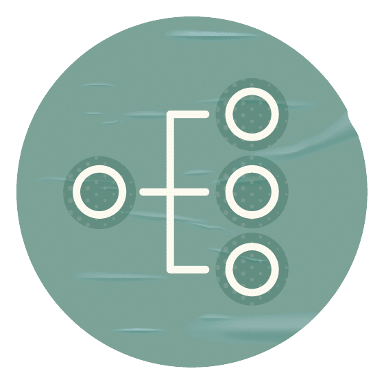 New brand and organizational change rollouts